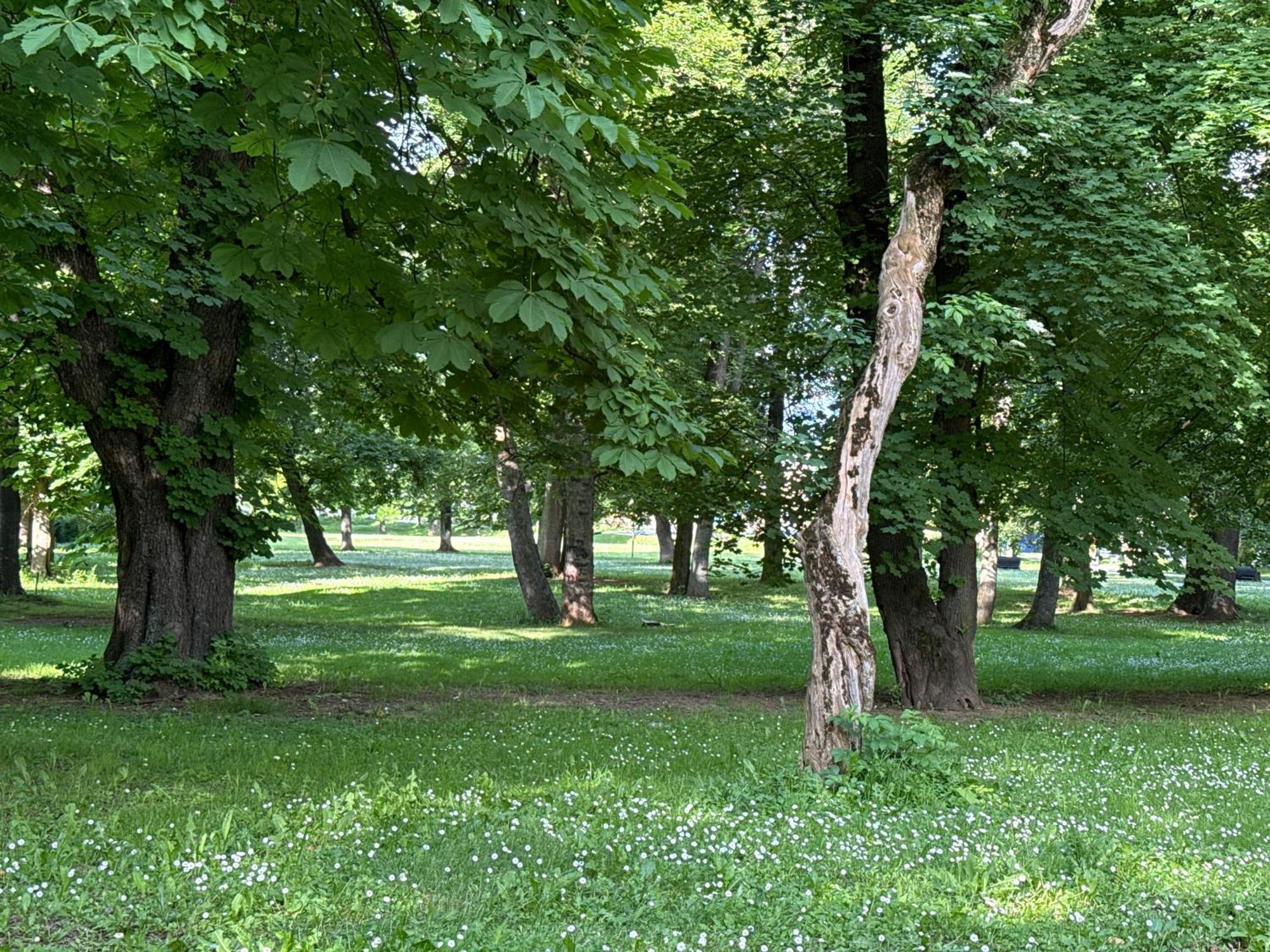 Apartament Newformula Sarajewo Zewnętrze zdjęcie